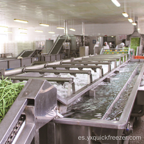 Máquinas automáticas de procesamiento de frutas y verduras.